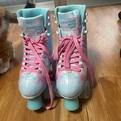 ローラースケートシューズの画像