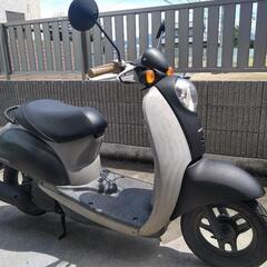 ホンダ　スクーピー　