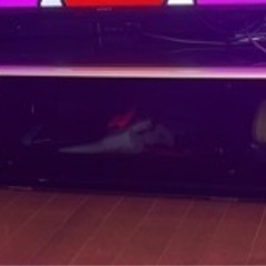 早い者勝ち💓💓💓テレビ台
