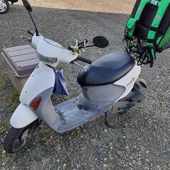 スズキレッツ