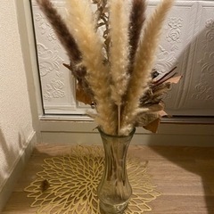 ドライフラワーの画像