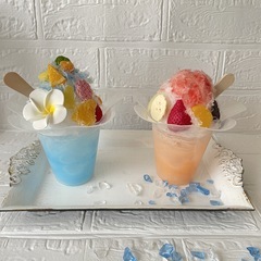 ｢食品サンプル体験ワークショップ ～かき氷の光る☆貯金箱～ - 江戸川区