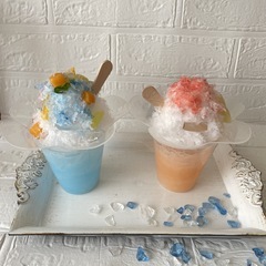  ｢食品サンプル体験ワークショップ ～かき氷の光る☆貯金箱～ - ワークショップ