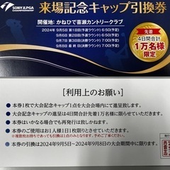 ⑧女子 プロ ゴルフ 観戦 チケット 喜瀬CC ４日間 入場券 キャップ交換 SONY JLPGA CHAMPIONSHIP の画像