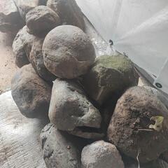 園芸に使える石あります！