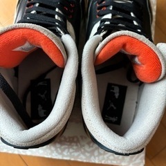 NIKE AIRJODAN 3 デザートエレファントの画像