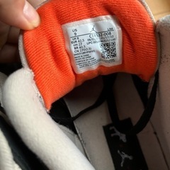 NIKE AIRJODAN 3 デザートエレファントの画像