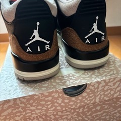 NIKE AIRJODAN 3 デザートエレファントの画像