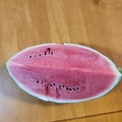 スイカ🍉