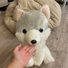 【おおかみ　ぬいぐるみ】