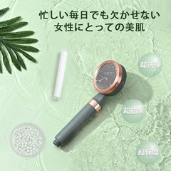 【新品未使用】シャワーヘッド 浄水塩素除去 節水 亜硫酸ボール フィルター お風呂 洗浄 保湿の画像