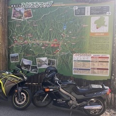 急遽　Kawasaki  ZZR250 実働　