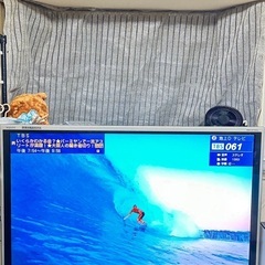 SHARP AQUOS世界の亀山モデル52インチ大画面！