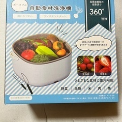 自動食材洗浄機