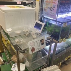 生き餌:タバタ石川店の画像