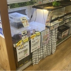 生き餌:メイクマン浦添本店の画像