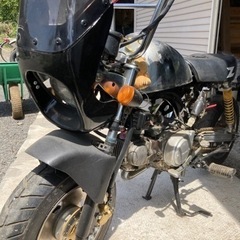 ホンダ　モンキー改