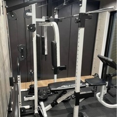 ワイルドフィット マルチマシン ホームジム