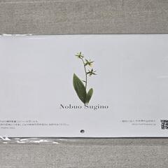杉野宣雄　ボタニックアートカレンダー2024の画像