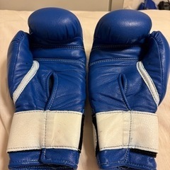 ウィニング　10オンスグローブ