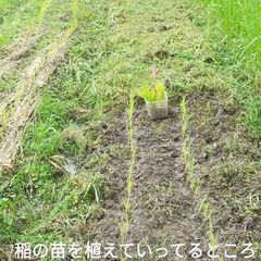農薬・化学肥料を使わない農業に興味ある方、一緒に畑をしませんか？