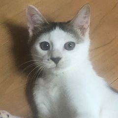 里親様決定！たまたまエイト！みずたま君