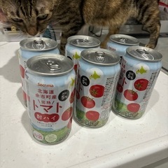 酎ハイ