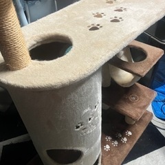 キャットタワーの画像