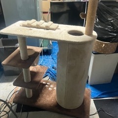 キャットタワーの画像