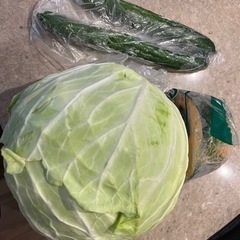 野菜3点セットの画像
