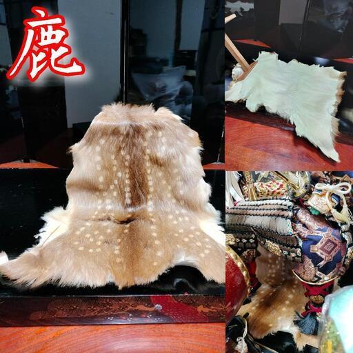 豪華】武者大将 12号 金箔 24kGP 五月人形 雛祭り セット