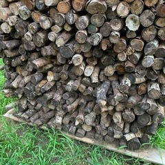 薪　1キロ　100円　焚き火　キャンプ　沖縄県の画像