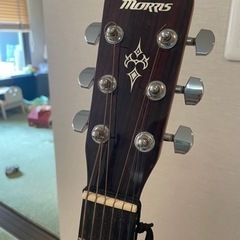 【無料】アコースティックギター/morrisの画像