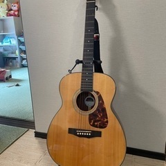 【無料】アコースティックギター/morrisの画像