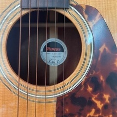 【無料】アコースティックギター/morrisの画像