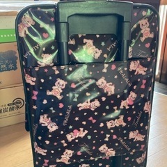 キャリーバッグの画像