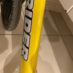 ストライダーの画像