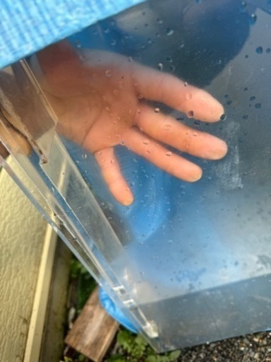 3㍍水槽アクリル水槽オールクリア3000×600×h450