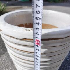 🪴⑨白色陶器鉢9.5号位です。の画像