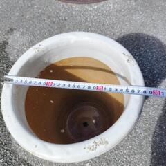 🪴⑨白色陶器鉢9.5号位です。の画像
