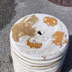 🪴⑨白色陶器鉢9.5号位です。の画像
