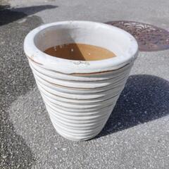 🪴⑨白色陶器鉢9.5号位です。