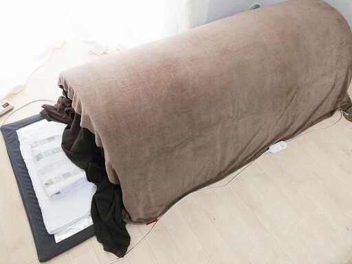 ★この低価格は7月28日購入まで★【遠赤外線&ゲルマニウム】ゲルマドームプロ