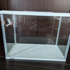 GEX水槽（金魚、メダカに）