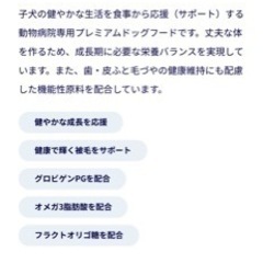 動物病院専用ドックフードの画像