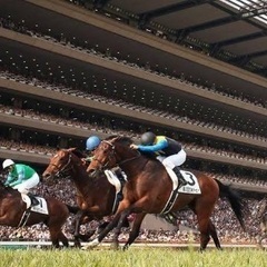 こちらの席も無料！船橋競馬場に来れる方！天気も良し！