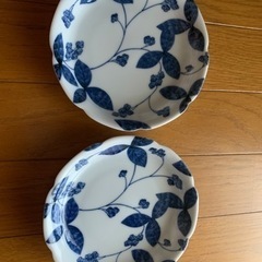 【今週400円】【最終お値下げ】【数回短時間試用のみ】【大恵ブラ...