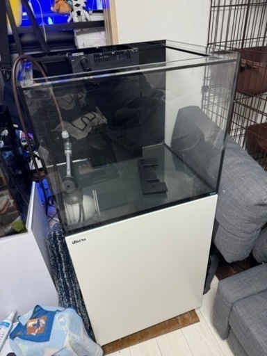 Redsea reefer 170 海水オーバーフロー水槽