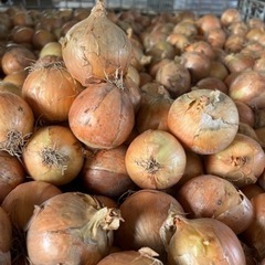 ☆笠岡産☆玉ねぎ      今回で終わりです　駅家残り60キロ