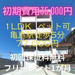 🌟初期費用3.65万円！！🌟ペット飼育可能で審査通過率100％！...